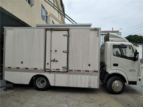 神陽新能源 增城智造，以安全可靠定義小型物流車新標(biāo)桿